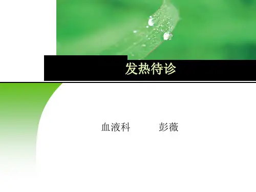 发热的诊断思路x