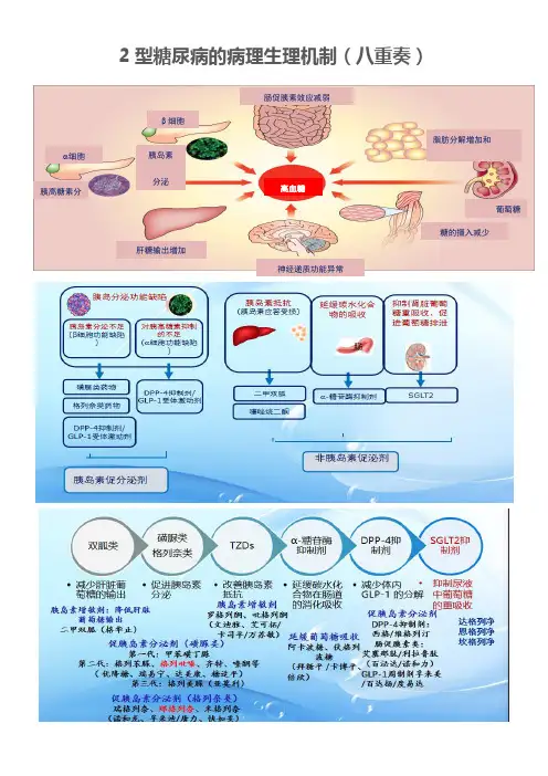 各类降糖药之优缺点比较与胰岛素合用情况