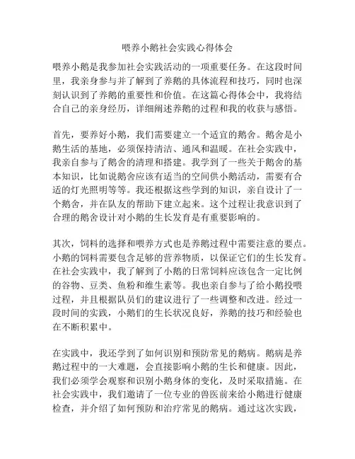 喂养小鹅社会实践心得体会