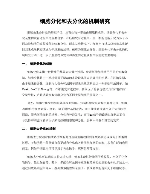 细胞分化和去分化的机制研究