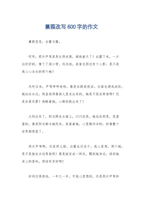 蒹葭改写600字的作文