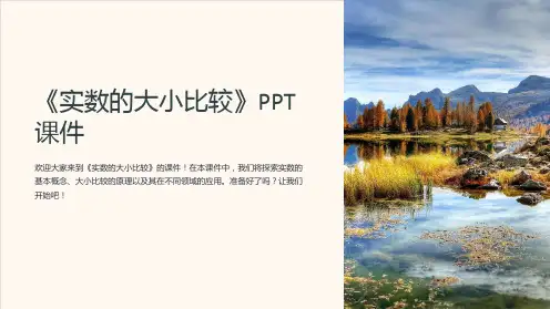 《实数的大小比较》课件