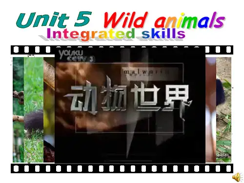 牛津译林版8A英语八年级上册Unit 5 Wild Animals Integrated skills课件