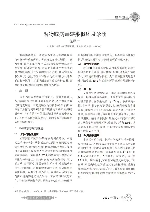 动物朊病毒感染概述及诊断