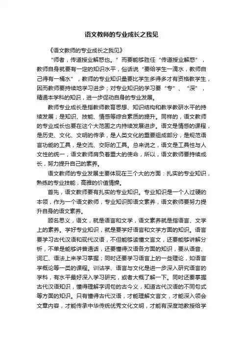语文教师的专业成长之我见