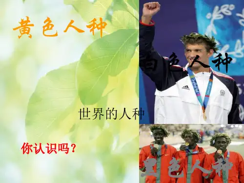 世界的人种PPT教学课件