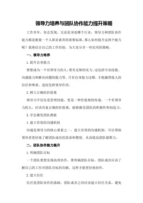 领导力培养与团队协作能力提升策略