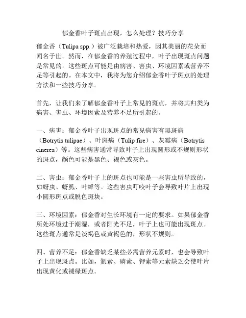 郁金香叶子斑点出现,怎么处理？技巧分享