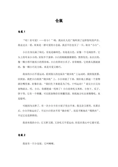 实用文_仓鼠