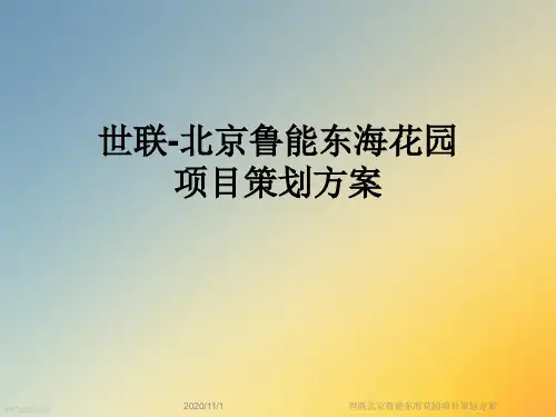 世联北京鲁能东海花园项目策划方案