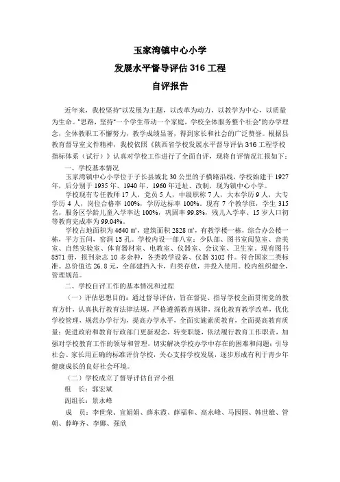 316督导评估自评报告