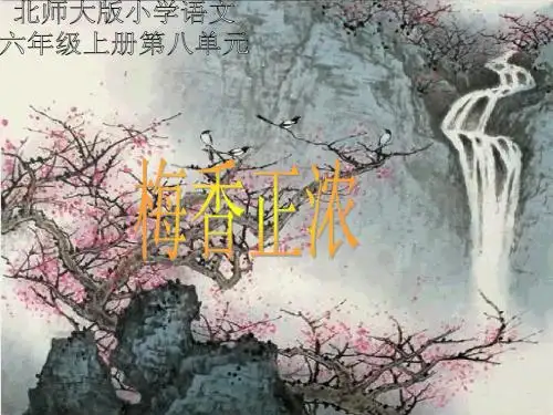 《梅香正浓》