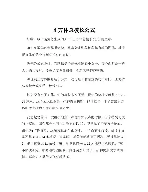正方体总棱长公式