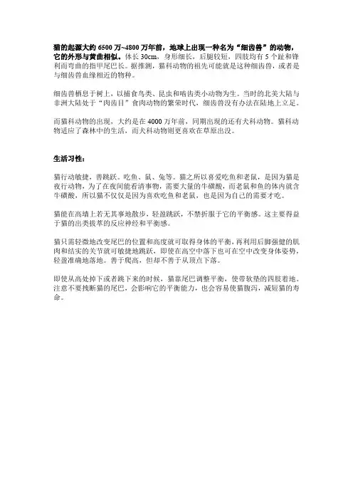 猫是什么进化而来的