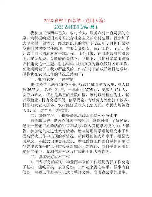2023农村工作总结(通用3篇)