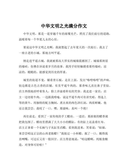 中华文明之光满分作文