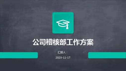 公司稽核部工作方案