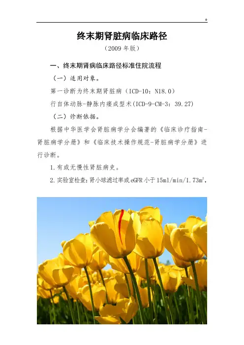 新版肾内科临床路径(10个)课件.doc