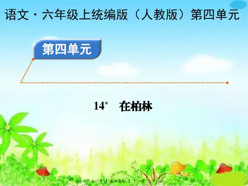 统编版(人教版)小学语文六年级上册第四单元《14在柏林》巩固提升练习PPT