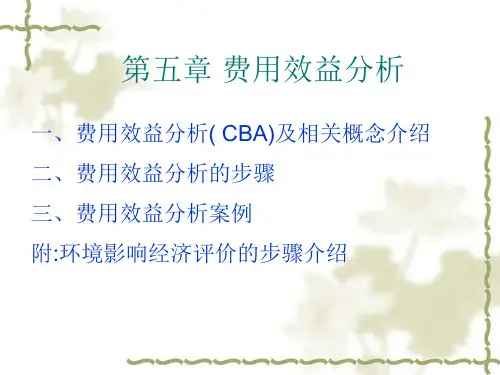 费用效益分析