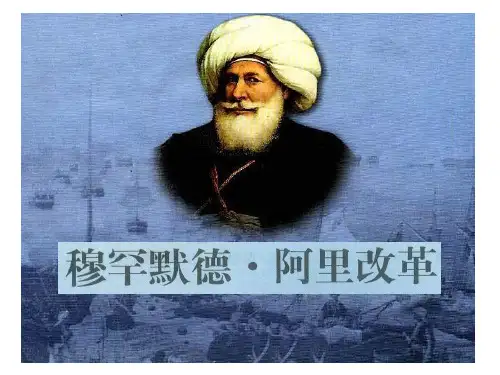 高二历史阿里改革