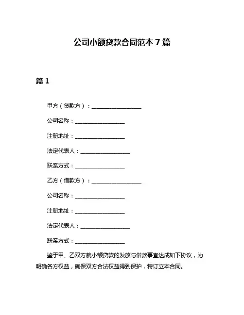 公司小额贷款合同范本7篇