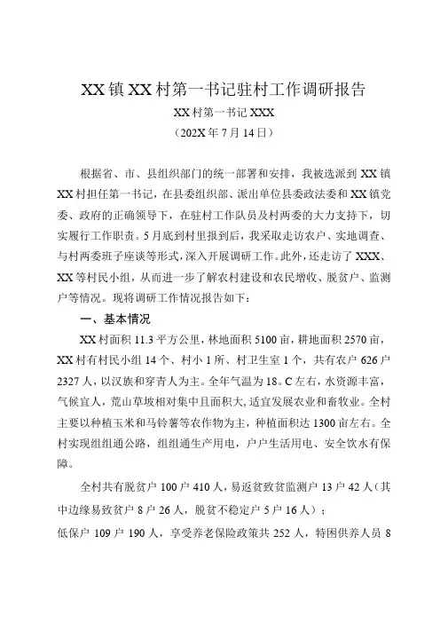 乡镇驻村第一书记驻村工作调研报告