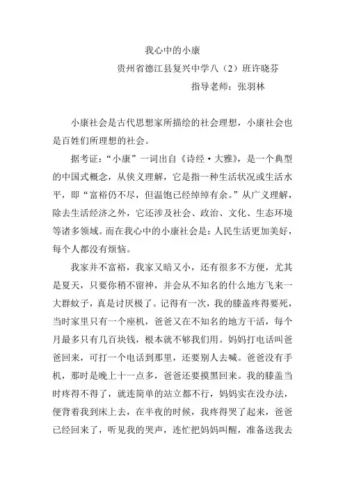 我心中的小康   许晓芬