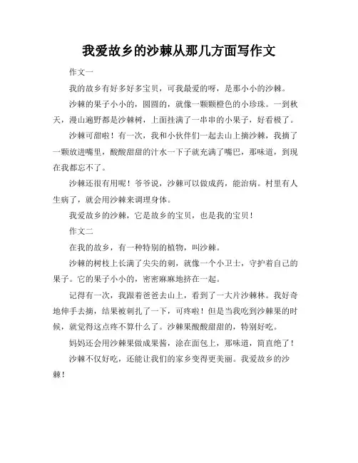 我爱故乡的沙棘从那几方面写作文