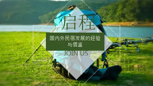 民宿国内外发展ppt课件