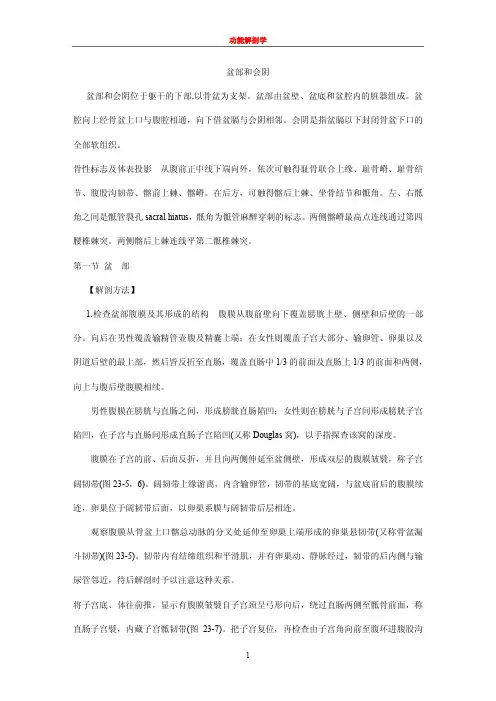 功能解剖学 盆部和会阴