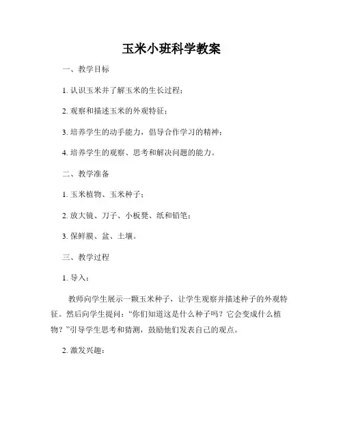 玉米小班科学教案