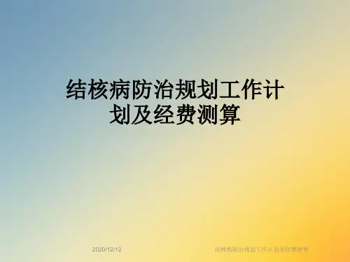 结核病防治规划工作计划及经费测算