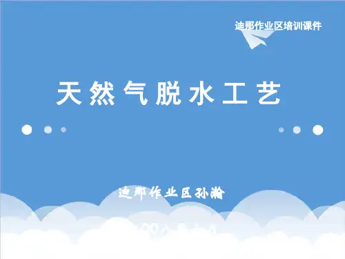 推荐-21、天然气脱水工艺29张幻灯片 精品