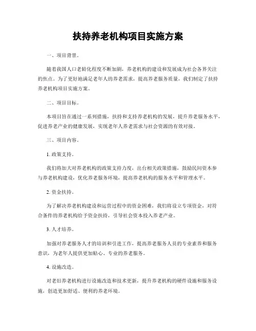 扶持养老机构项目实施方案