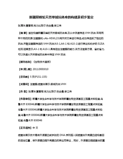 新疆双峰驼天然单域抗体库的构建及初步鉴定