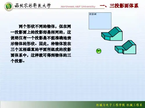 画法几何 第七章 基本立体