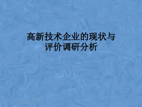 高新技术企业的现状与评价调研分析