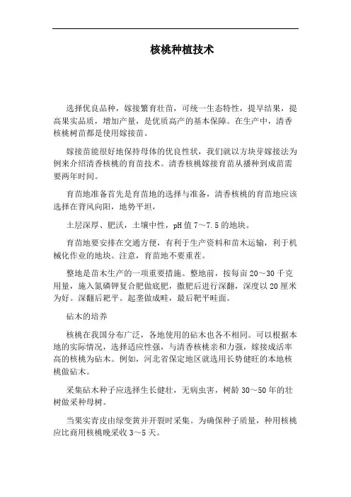 核桃种植技术