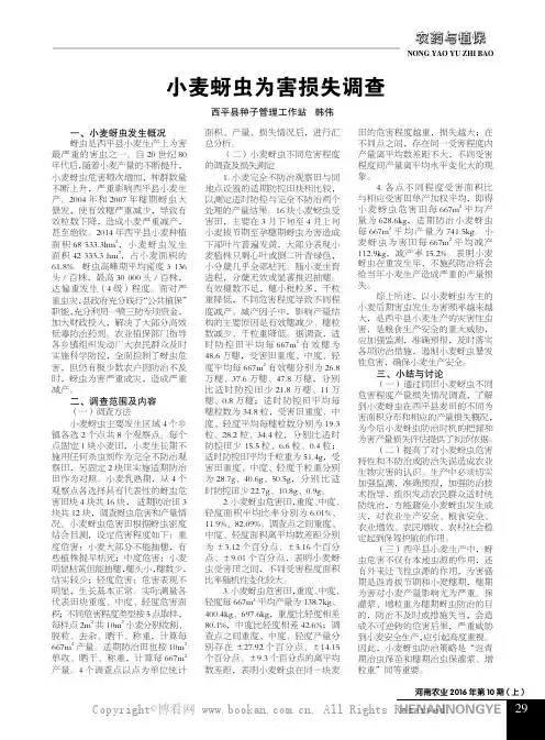 小麦蚜虫为害损失调查  