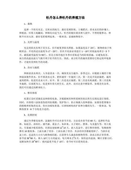 牡丹怎么养牡丹的养殖方法