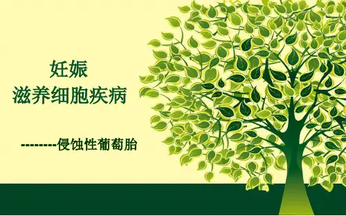 侵蚀性葡萄胎PPT课件