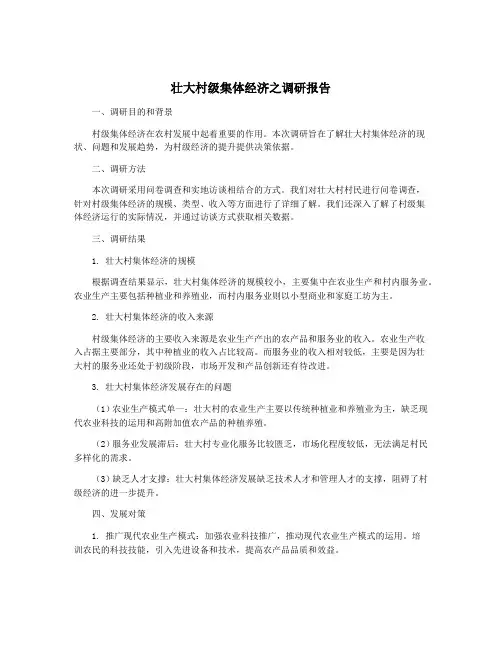 壮大村级集体经济之调研报告