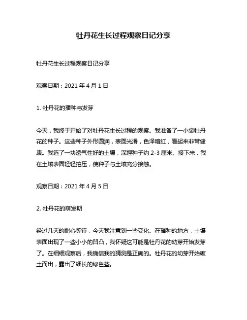 牡丹花生长过程观察日记分享
