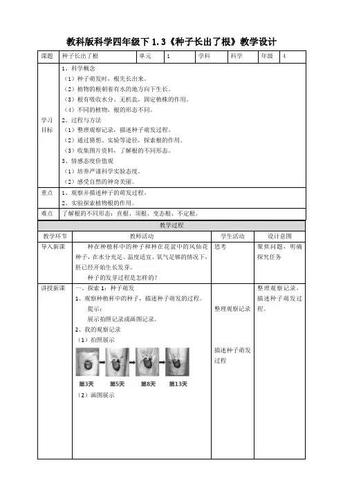 教科版四年级科学下册 1.3《种子长出了根》优秀教案(2套)