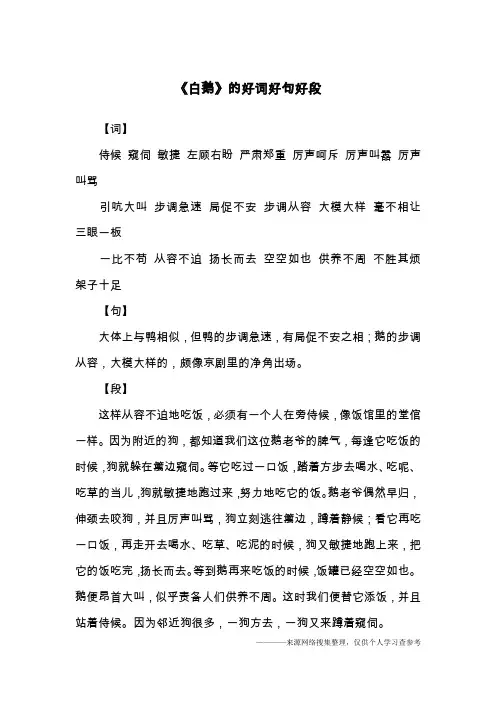 《白鹅》的好词好句好段