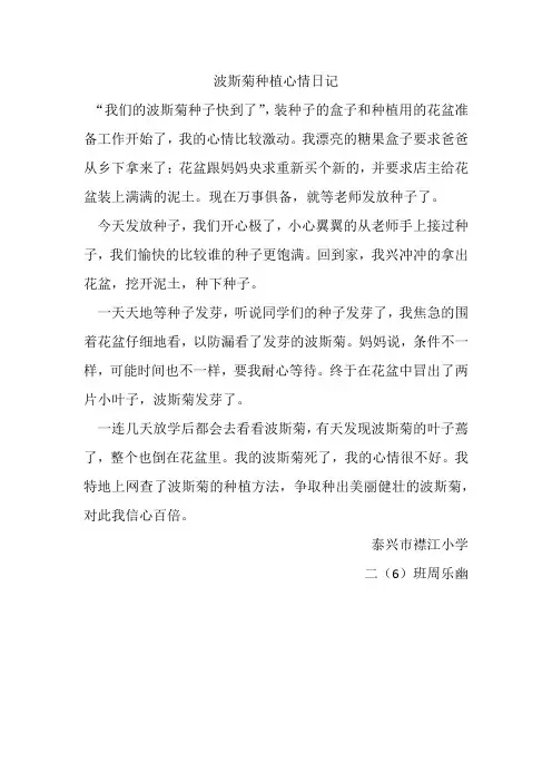 波斯菊