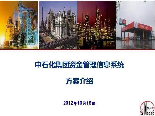 中石化集团资金集中管理信息系统方案介绍-扬州石化.ppt