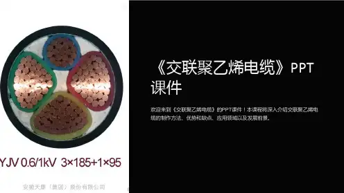 《交联聚乙烯电缆》课件