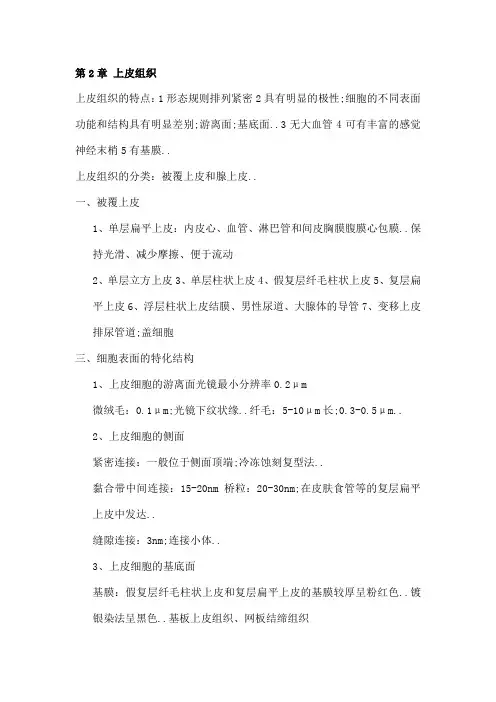 组织学与胚胎学组胚复习笔记
